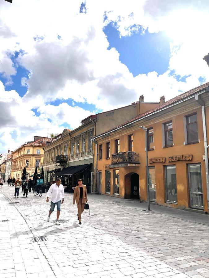 Stylish Apartment In The Heart Of Kaunas Old Town Eksteriør billede